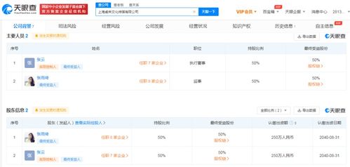 数字文化创意内容的应用服务 重塑未来的文化体验